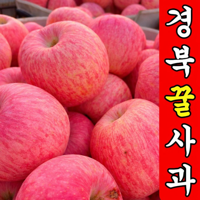 [푸른결] 경북산지직송 고당도Brix A급가정용 사과, 1박스