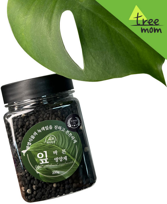 트리맘 바른 잎영양제 200g-몬스테라비료 관엽식물 영양제, 1개