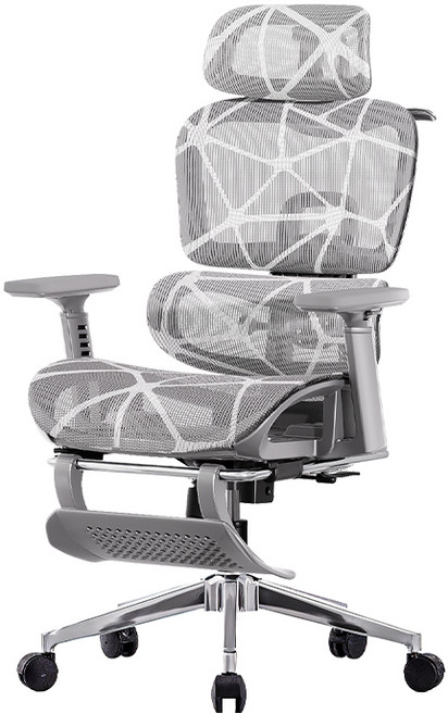 Xpânse LS-900 人體工學椅 氣壓升降 坐深調節, L900Pro-龍紋特網+坐移+椅背可調