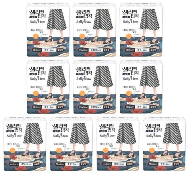 샐리의 법칙 생리대 시크 중형 6P, 6개입, 10개