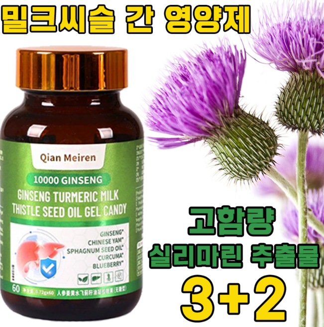 [간 기능 회복] 밀크씨슬 간 영양제 고함량 실리마린 추출물 300mg 베지 캡슐 간에 좋은 영양제1위 추천, 5개, 60정