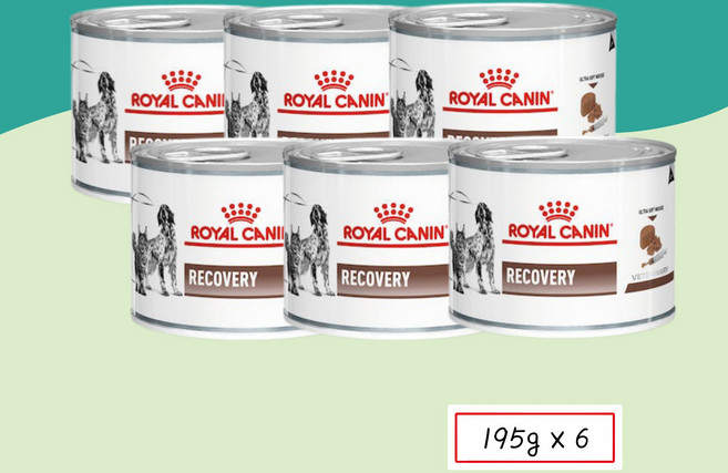 [로얄캐닌] 리커버리 캔 1.17kg (195g*6), 6개, 195g