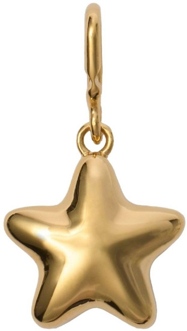 버버리 스타 참