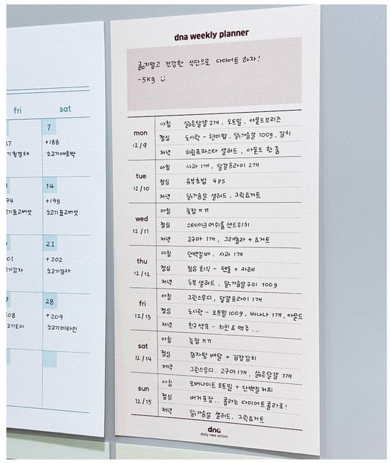 dna 냉장고 메모 보드 블럭, 주간계획표 12개