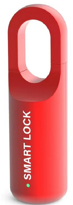 지문인식 자물쇠 배낭 스마트 열쇠 미니 디지털자물쇠 캐비닛 블랙 1개, 레드