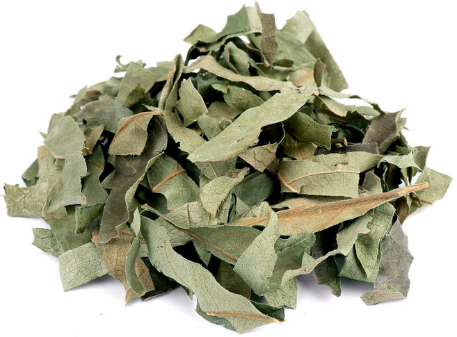 동의한재 시엽 감나무잎, 300g, 1개