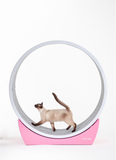 펫링 C1/C2 반려동물 런닝머신, 아이보리, C2, 1개