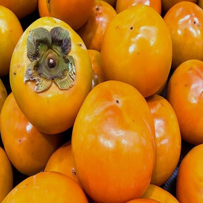 [ 정가네 ] 햇 단감 5kg 10kg 대봉감 홍시 5kg 10kg, 01.단감 5kg, 1개