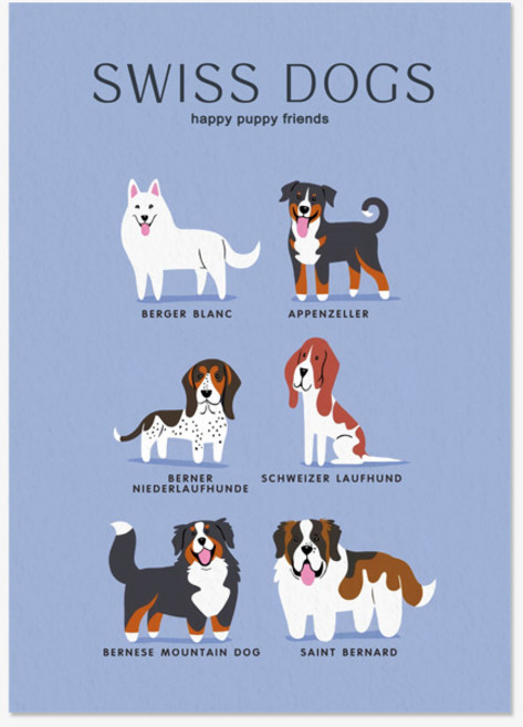 세계 강아지 품종 펠트 패브릭포스터 A1 A2 A3 A4 size, FB_동물_세계강아지_05스위스