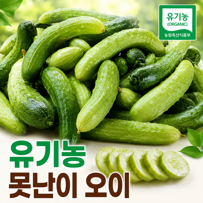 강원도 국내산 유기농 못난이 오이 친환경 (오이지용 소박이용 담금용 장아찌 주스용 다이어트 백오이), 1박스, 3kg(유기농 못난이)