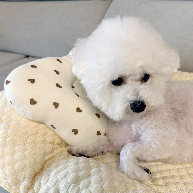 스카이몰 강아지 수면베개, 구름하트, 1개