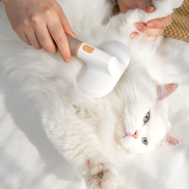 스타캣 고양이빗 반려동물 털제거 브러쉬 세트 3in1 교체형 원터치 펫브러쉬, 1세트, 베이지