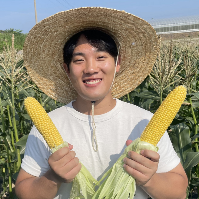 초고당도 초당옥수수 국산 특사이즈 제철 노랑 애플 단옥수수 햇옥수수 농장, 15개, 특품