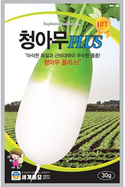 청아무플러스 30g 세계 25년 김장씨앗 무씨앗, 1개