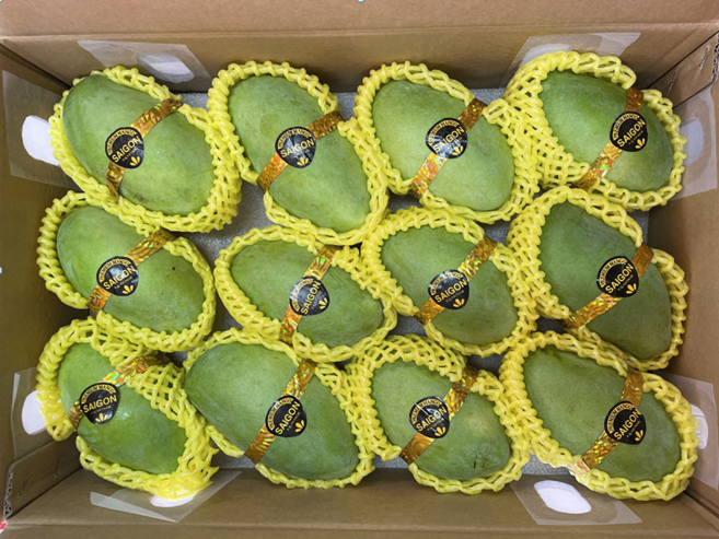 알라딘푸드 베트남 그린망고 께오입고, 5kg(12-16과), 1박스