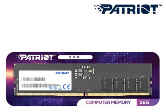 [PATRIOT] 패트리어트 DDR5 PC5-44800 CL46 EVO [16GB] (5600), 1개