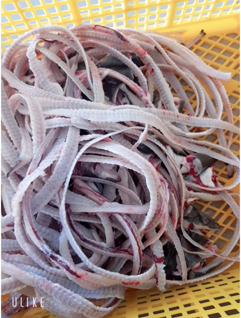 장어뼈와 머리 1kg 깨끗하게 바로 튀김간식 .장어탕 .장어즙, 1개