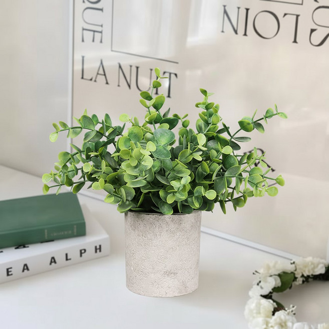 생화같은 미니 꽃화분 조화 세트, 1개, 유칼립투스