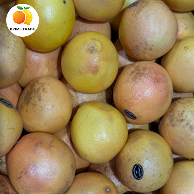 [프라임농장] 실속 자몽 5kg, 1개, 단품