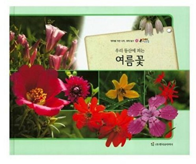기타 우리 동산에 피는 여름꽃 테마별 자연 나라 생태 탐구, 한국슈타이너(D), 예종화, 김영이, 없음