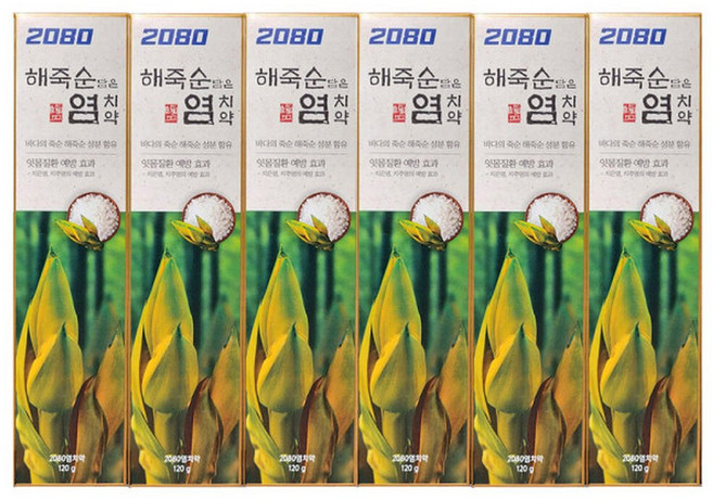 2080 해죽순 담은 염 치약 120g 6개//죽염치약, 6개