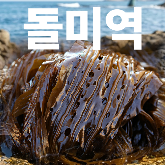 미역 돌미역 자연산 돌미역 생미역, 1박스, 2kg