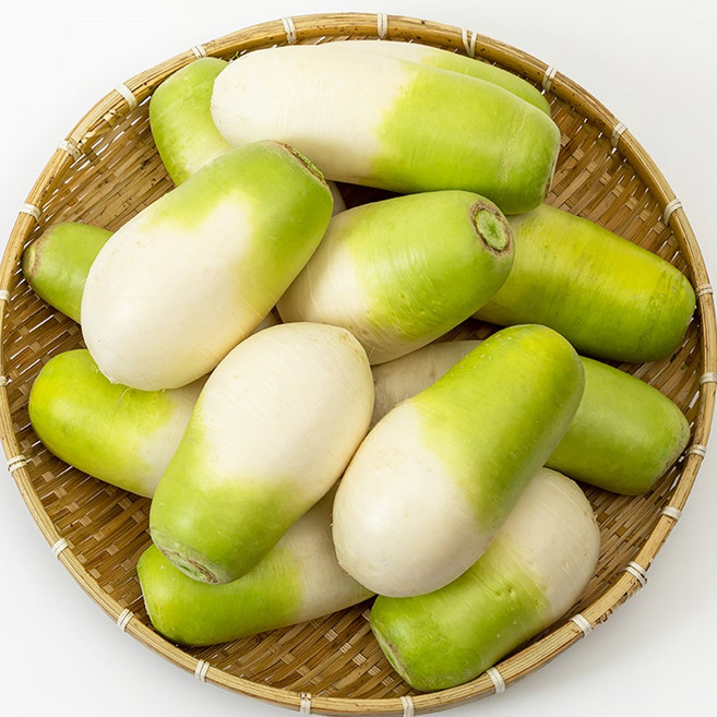 제주 바람 맞고 자란 달큰한 월동무, 1개, 3kg, (비세척) 제철 제주 월동무 가정용