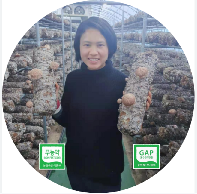 무농약 생표고버섯 농장직송 사랑이네농장, 1개, 건표고