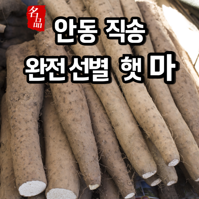 [완전 선별] 햇마 국산 안동 장마 생 마, 1개, 장마 [중품] 3kg