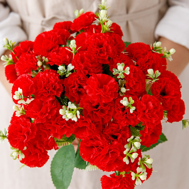 행복한마을 쁘띠카네이션 3다발묶음, 레드