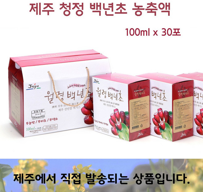 백련초엑기스 백년초액 선인장열매즙 제주손바닥선인장 부모님/건강/선물 청정제주 30포, 1개, 3L