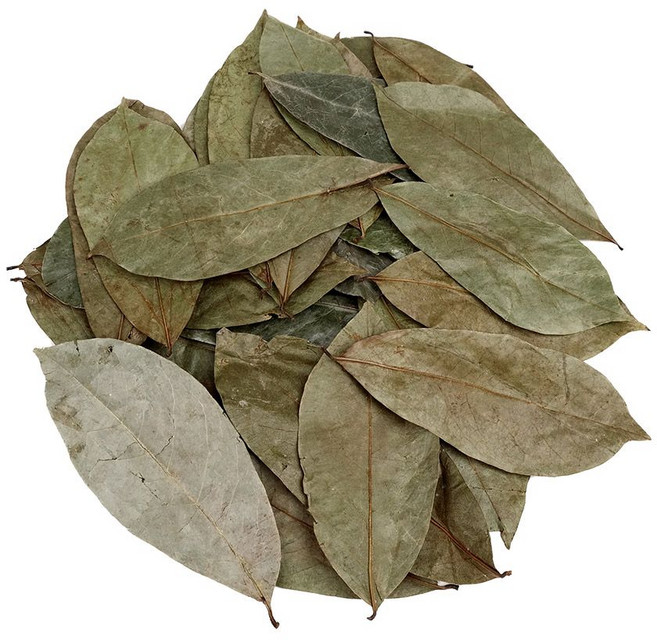 신선약초 자연건조 그라비올라잎 건잎 차 100g ala+30569Mh