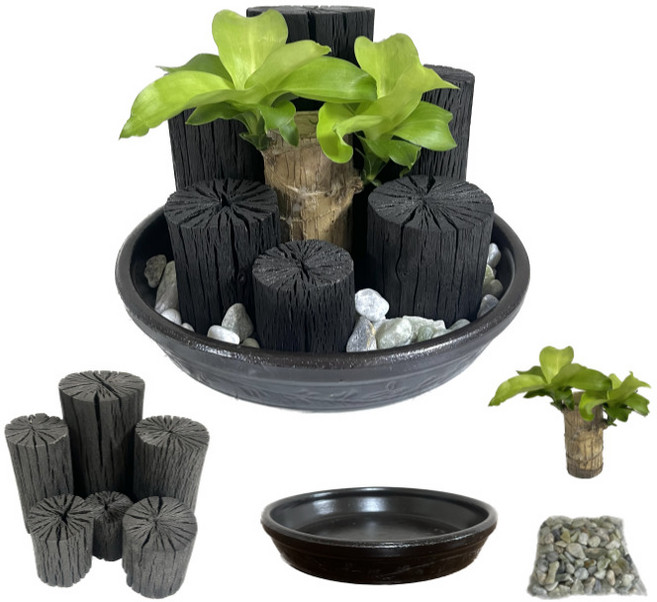 [희망참숯농원] 옹기2호 숯가습기 세트 (행운목), 1개