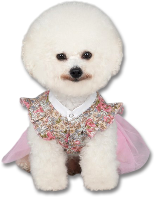 바이담수미 강아지옷 튜튜 한복 치마, 핑크, 1개