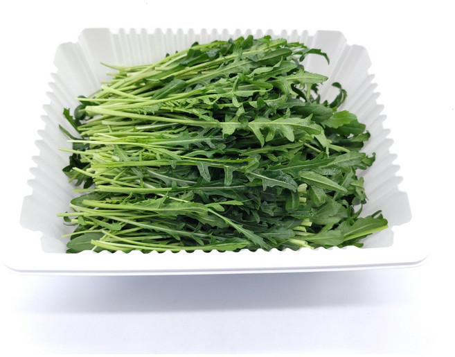 [허브온] 와일드 루꼴라 / 16년간 전국 호텔 및 레스토랑 공급채소, 1개, 500g