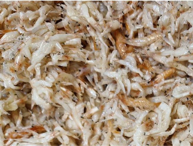 추젓 새우젓 국내산새우젓 광천새우젓, 1개, 5kg