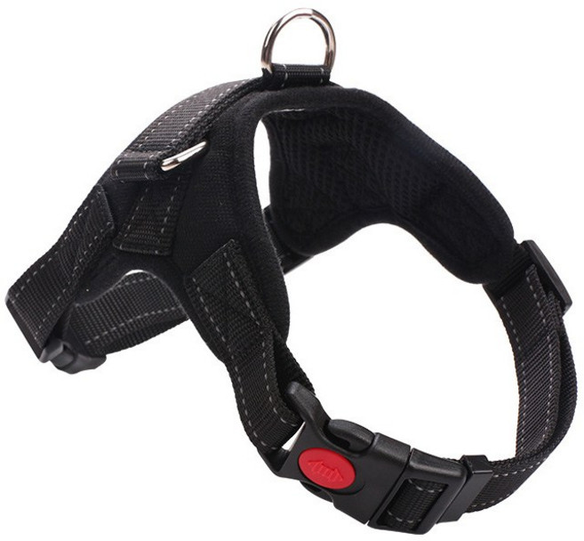 JS펫샵 러쉬 중대형견 하네스, 플래그, 1개