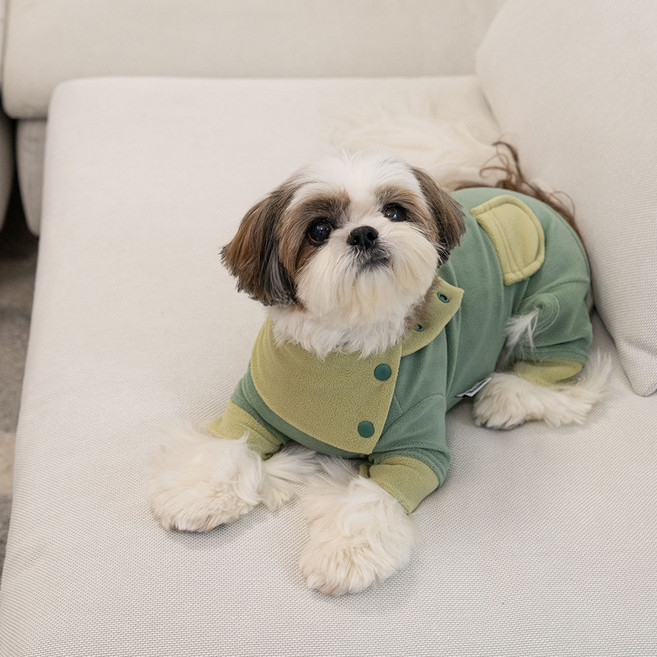 베일리 강아지 후리스 올인원 플리스 실내복 기모 강아지옷 넥워머, 그린, 1개