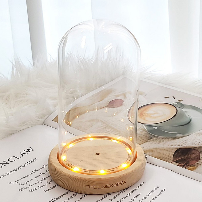 더라임코리아 유리돔 무드등 만들기 DIY 재료 꽃 수면등 웨딩부케, 단품