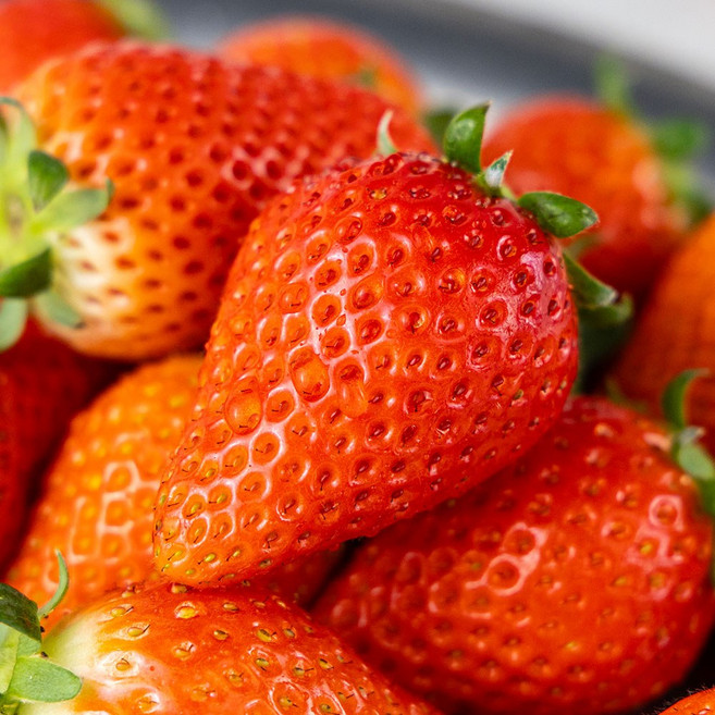 GAP 인증 논산 비타베리 딸기 700g 특품, 1개, 700g특품