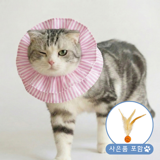 반려동물 초경량 편안한 중성화 넥카라, 1개, 핑크