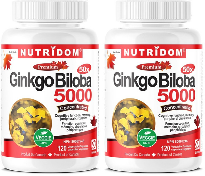 (2병특가) 뉴트리돔 50배 농축 징코 빌로바 5000 120식물성캡슐 은행잎 추출물 캐나다 직구, 2개, 120정