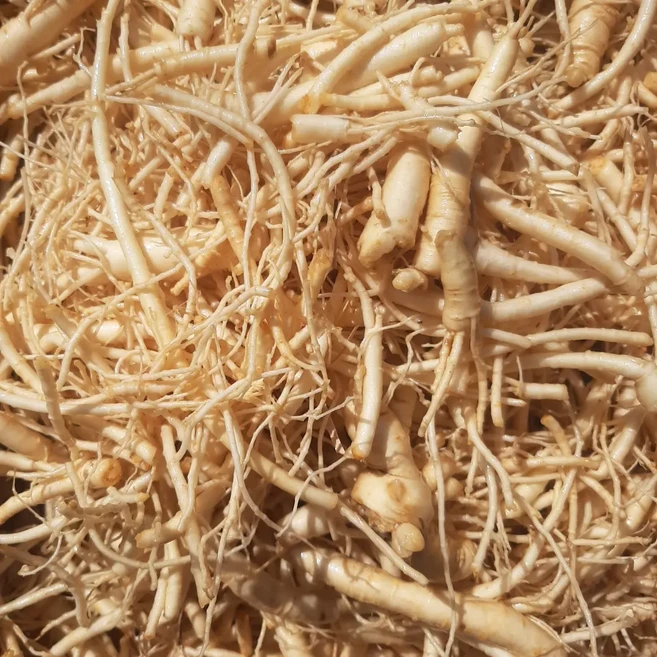 수삼 인삼잔뿌리 인삼뿌리 뿌리삼 미삼 세척 물끓이는용, 세척X, 04. 잔뿌리 750g, 1개