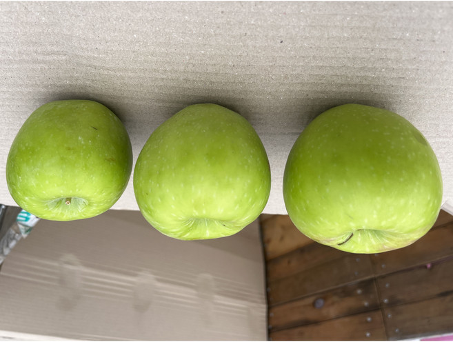 아삭아삭 경북 고당도 청사과 (5kg) 여름 제철 프리미엄 과일, 1개, 중대과 2kg (4~11과)