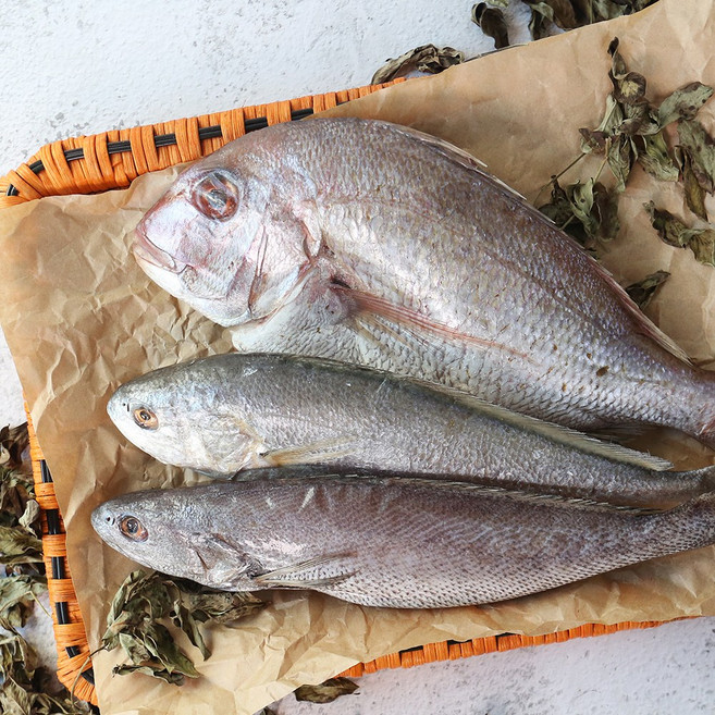 반건조 제수용 생선세트(참돔+민어+조기), 1개, 1kg