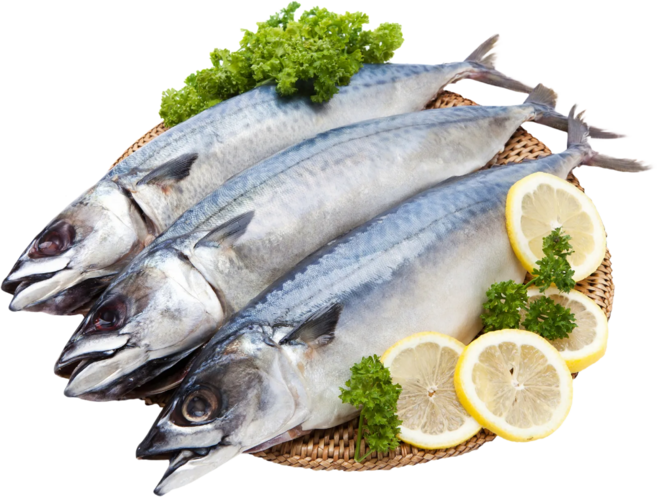 [산지직송] 국내산 손질 자반 참고등어, 1개, 국산 자반 참고등어 왕특대 10미(4.8kg 내외)