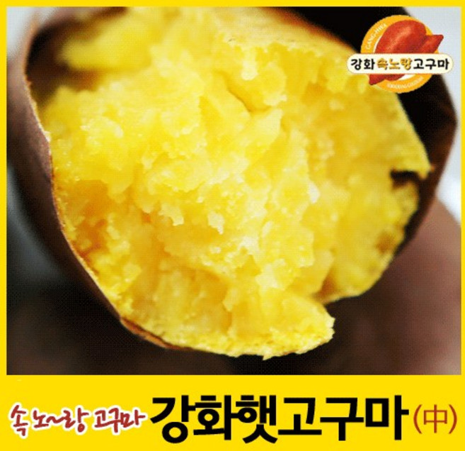 [농장직판] 강화속노랑고구마 강화도호박고구마 햇고구마 [소/중/대] 5kg 10kg 선택., 1박스, 중간 크기 5kg