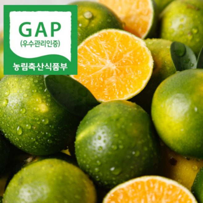 최상급 제주도 풋귤 청귤 친환경 무농약 산지직송, 1박스, 2kg