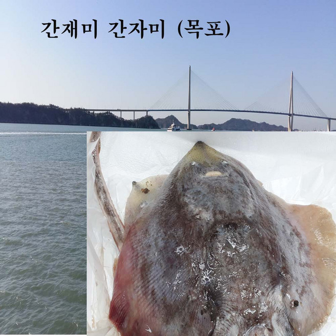 간자미 간재미 1 kg 목포, 1kg