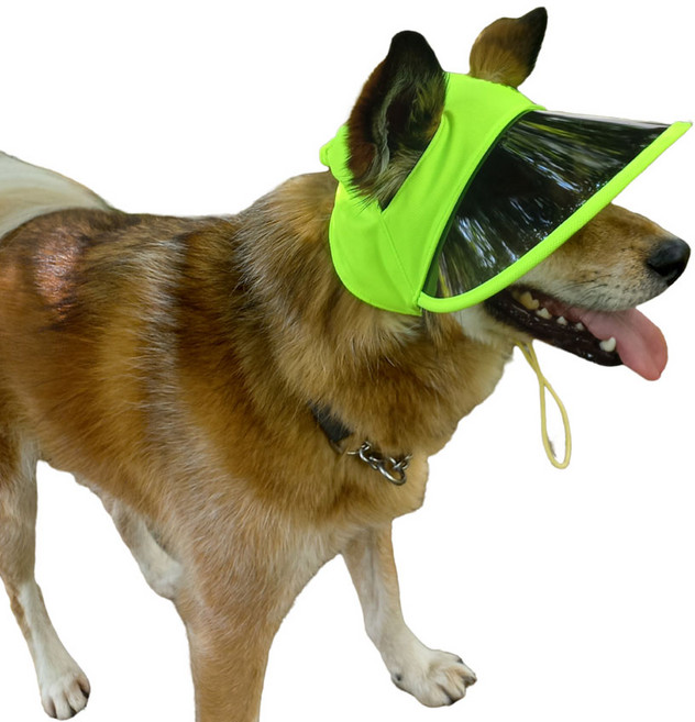 하니펫 반려동물 자외선차단 썬캡 모자, 형광노랑, 1개